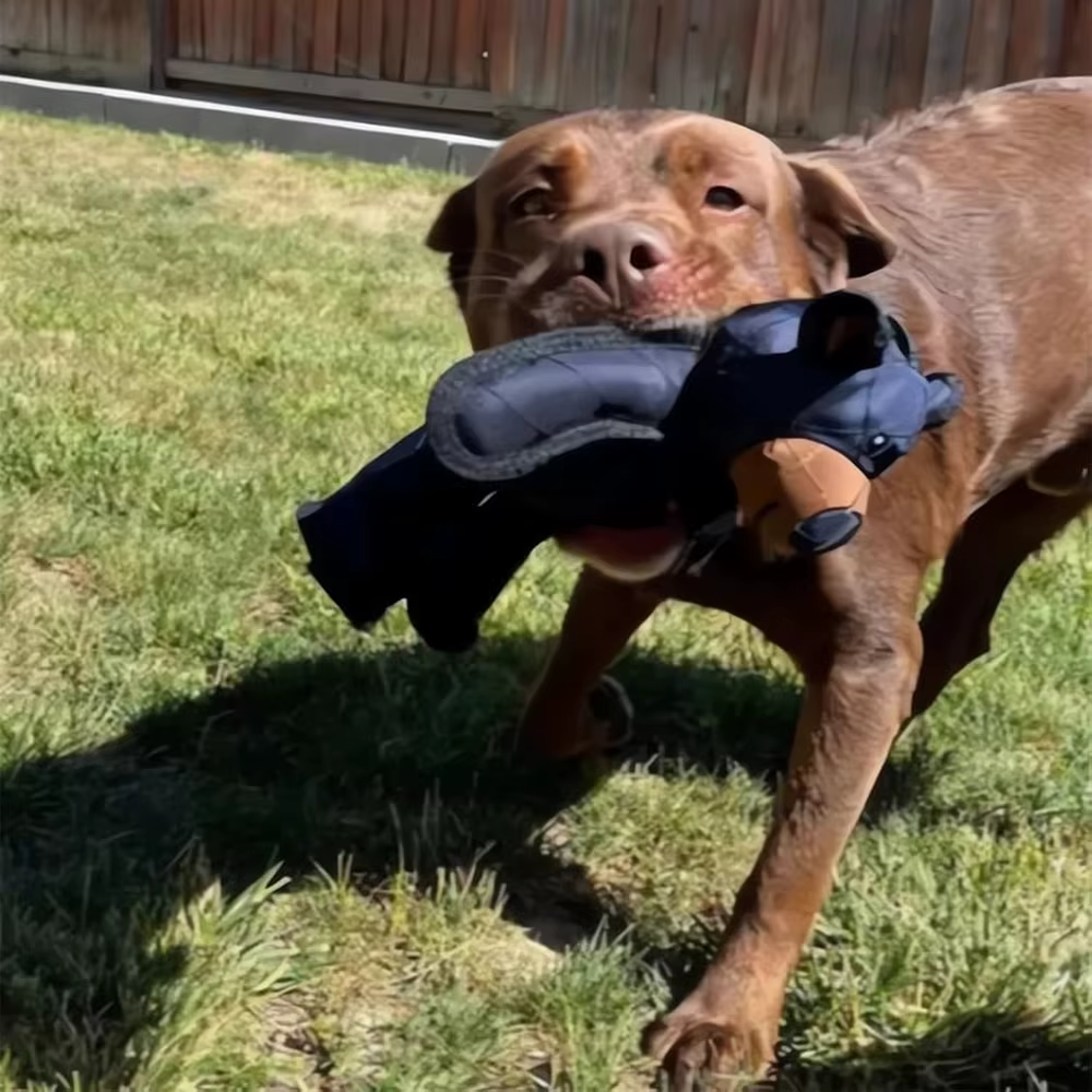 Hållbar tuggleksak för hundar